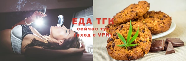 spice Дмитриев