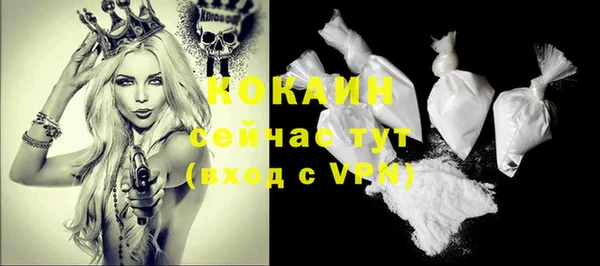 хмурый Дмитров