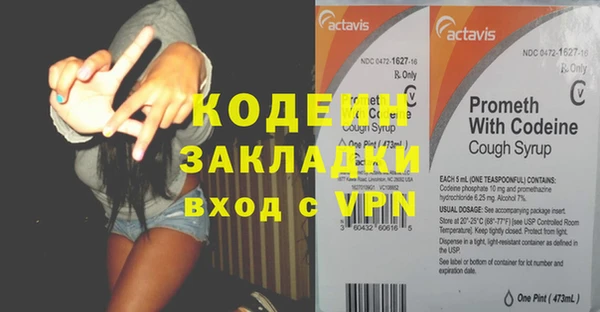 хмурый Елизово