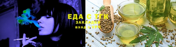 хмурый Дмитров