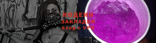 spice Дмитриев