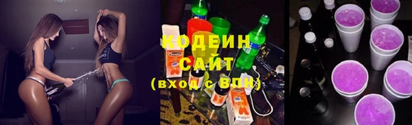 хмурый Дмитров