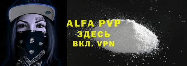 ECSTASY Ельня