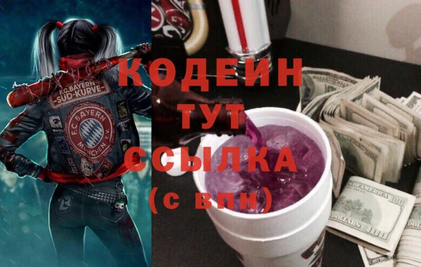 spice Дмитриев