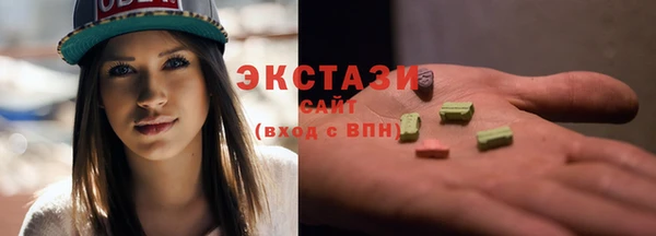 ECSTASY Ельня
