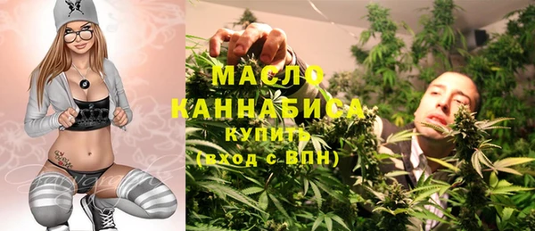 хмурый Дмитров