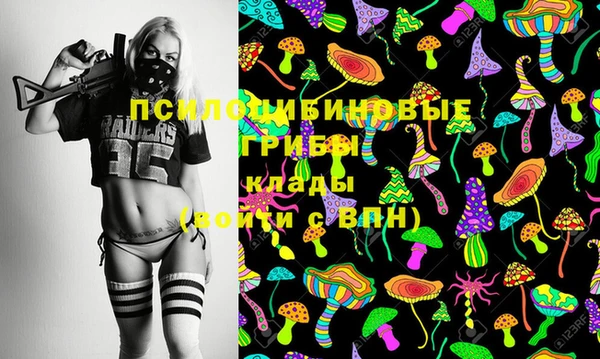 хмурый Елизово