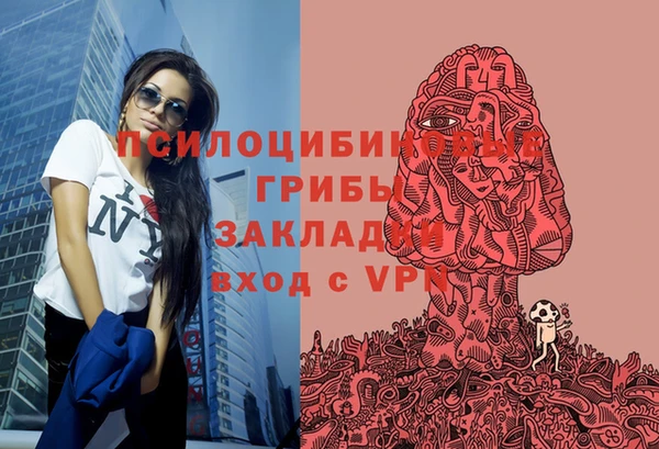 хмурый Елизово