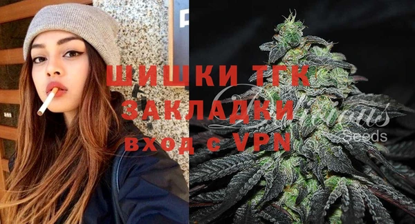 хмурый Елизово