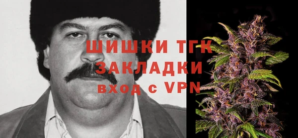 ECSTASY Ельня