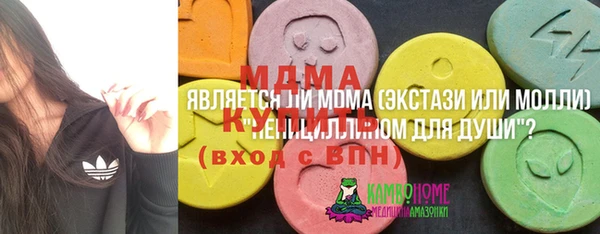 хмурый Дмитров